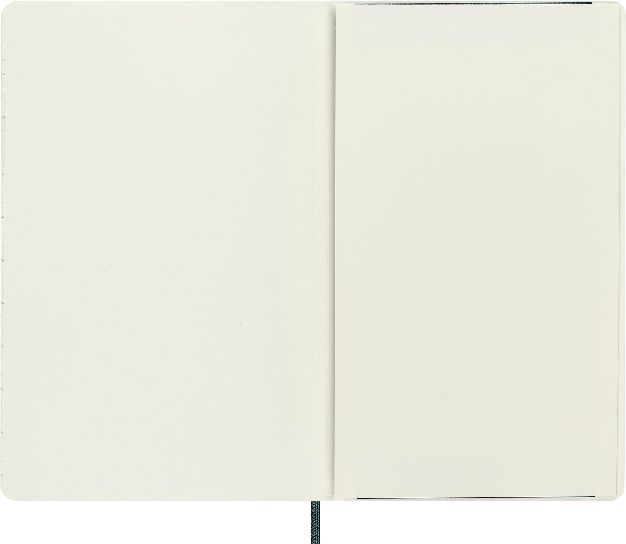 Amazon.com: Moleskine 2024 Precious and Ethical Weekly Planner Box