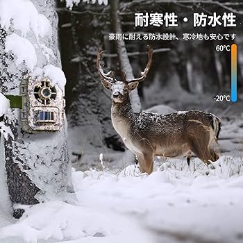 Amazon.co.jp: K&F Concept トレイルカメラ 防犯カメラ 監視暗視カメラ