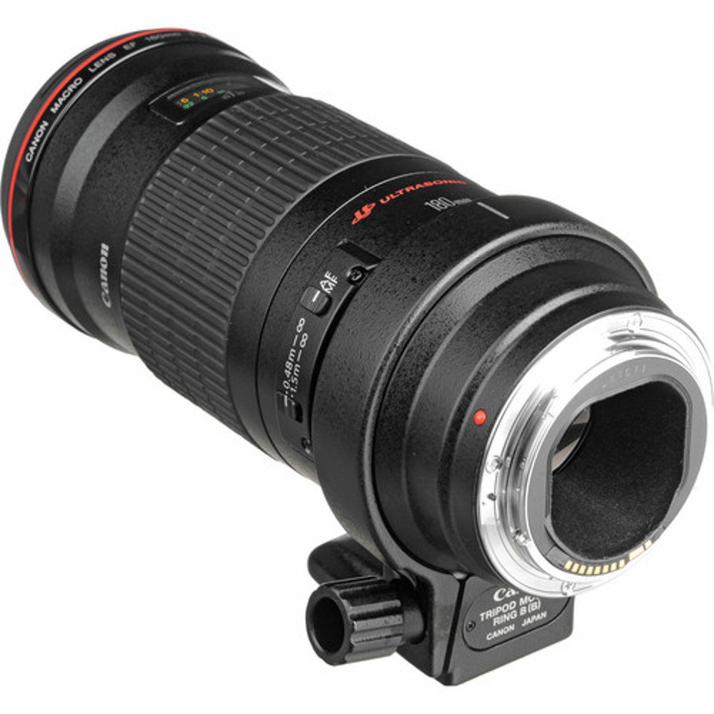 Amazon.com : Canon 180mm F3.5 L AF Macro Lens : Camera Lenses