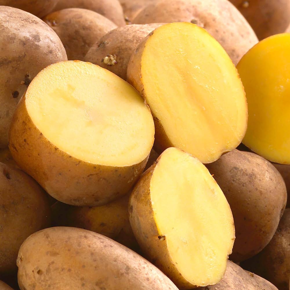 Amazon.co.jp: 北海道産 新じゃが じゃがいも インカのめざめ 10kg (共