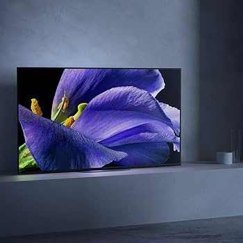 Amazon.co.jp: ソニー 55V型 有機EL テレビ ブラビア KJ-55A9G 4K