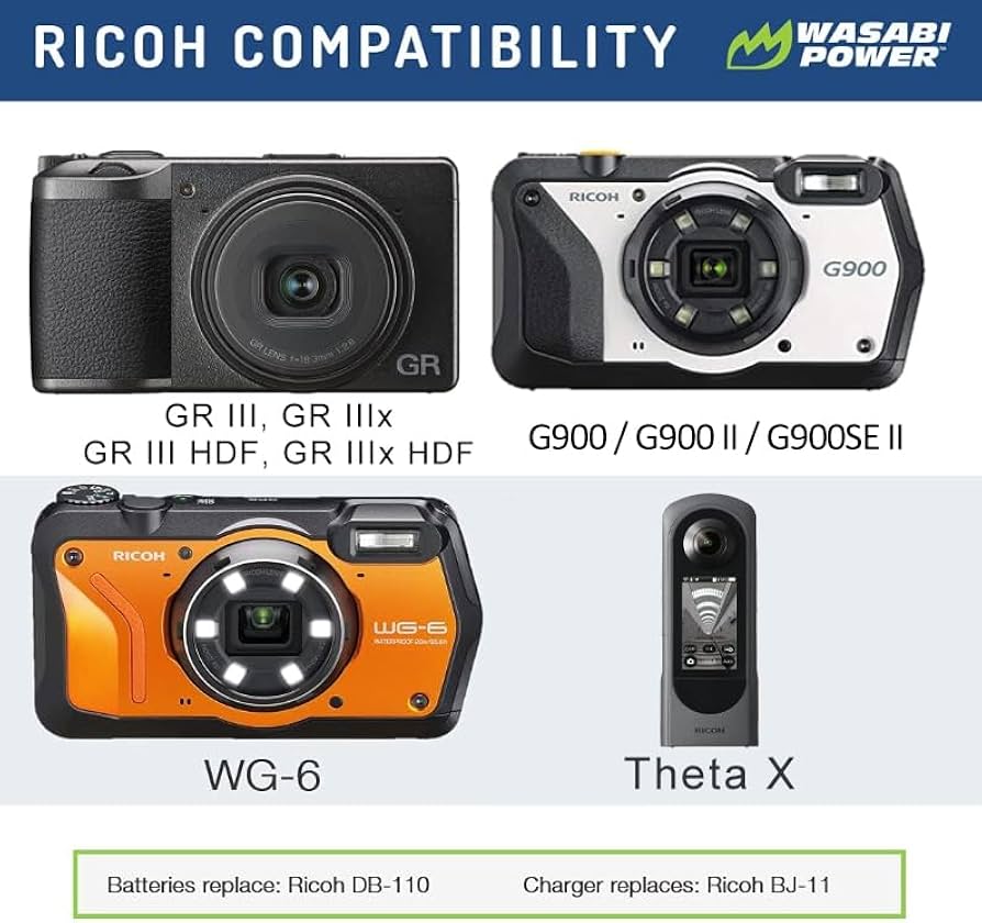 Amazon.com : Wasabi Power DB-110 Battery (2-Pack) and Charger for