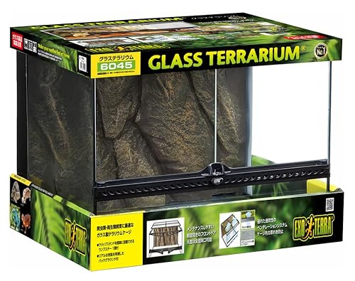 グラステラリウム6045」の人気商品一覧 | 安い商品を通販サイトから
