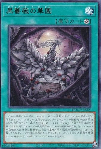黒薔薇の破滅竜【ブラックローズドラゴンをS召喚扱いでSS