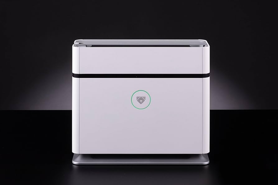 61sT1lGUztL._AC_UF894,