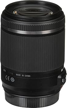 Amazon.co.jp: TAMRON 高倍率ズームレンズ 18-200mm F3.5-6.3 DiII VC