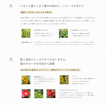 Amazon | Lilou（リル）ラグジュアリー シャンプー アミノ酸シャンプー