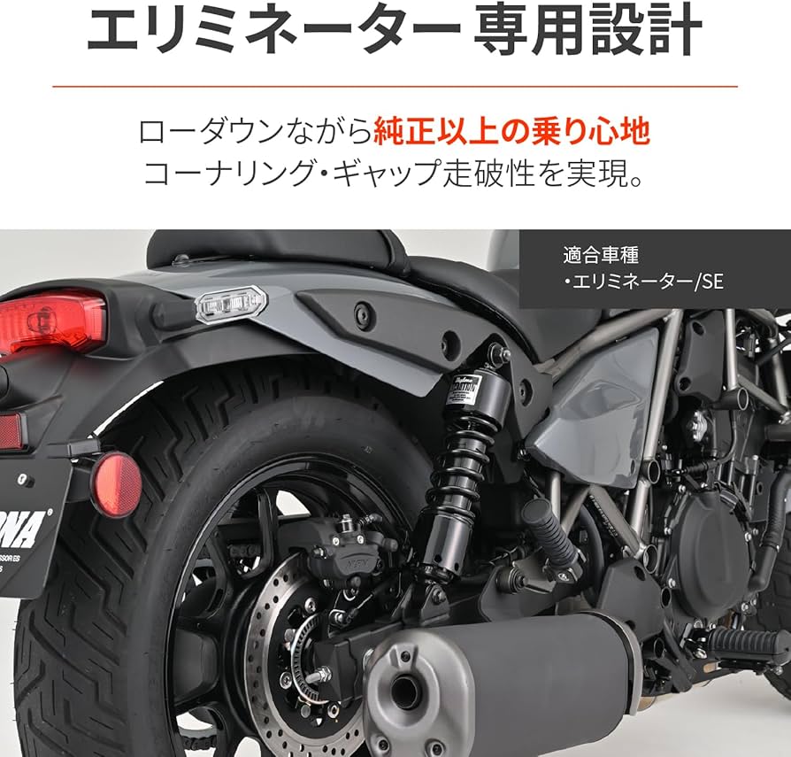 Amazon | デイトナ(Daytona) エリミネーター/SE(24-25)専用 リア