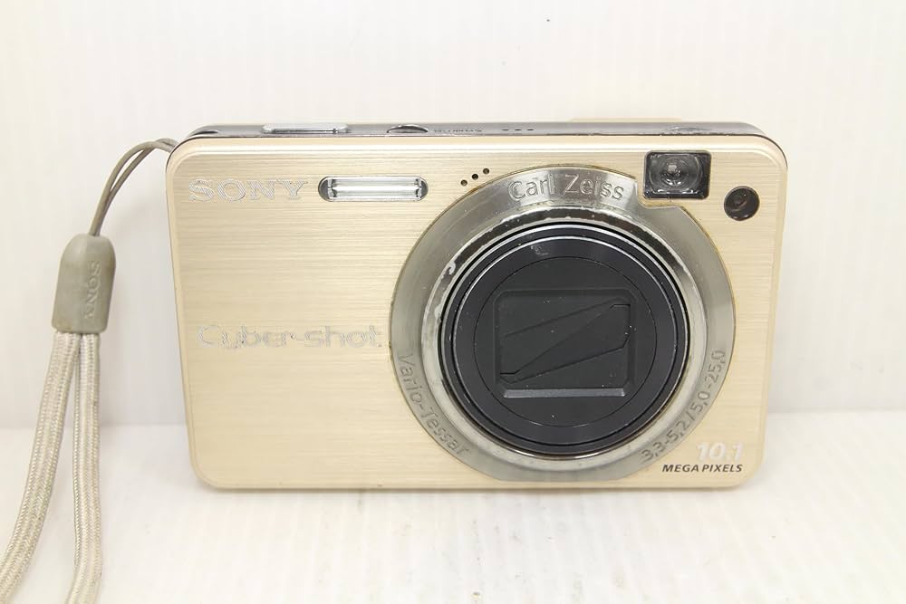 Amazon | SONY デジタルカメラ Cyber-Shot(サイバーショット) W170
