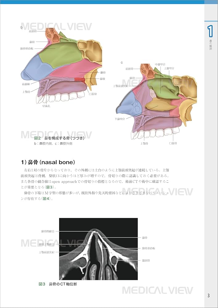 外鼻形成術−機能と形態を両立した手術 | ライノプラスティー研究会