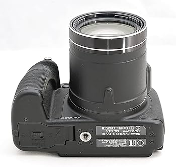 Amazon.com : Nikon COOLPIX P600(Black) : Electronics