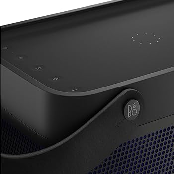 Amazon.com: Bang & Olufsen Beolit 20 Powerful Portable Wireless