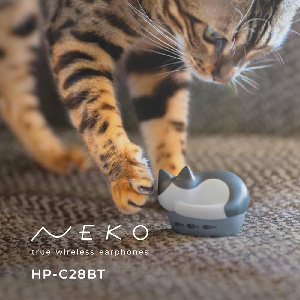 Amazon.co.jp: ラディウス radius HP-C28BT 完全ワイヤレスイヤホン