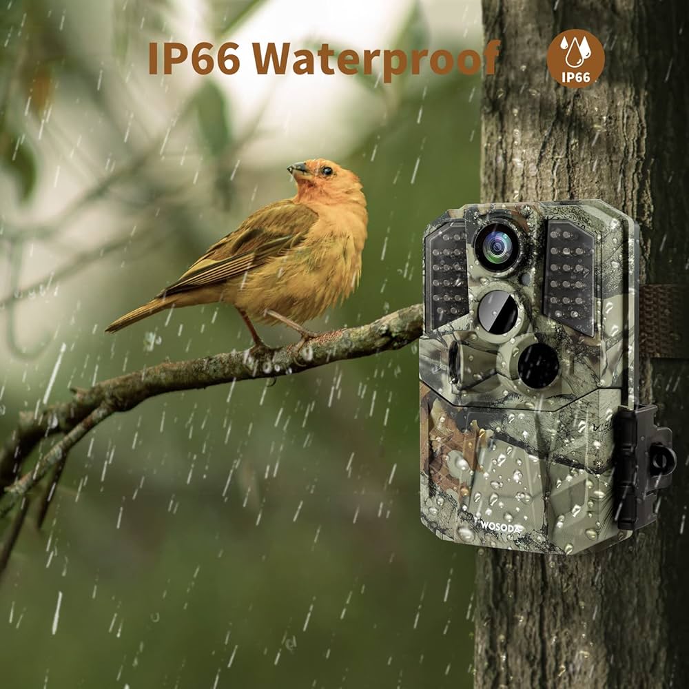 714z0T6VeYL._AC_UF1000,