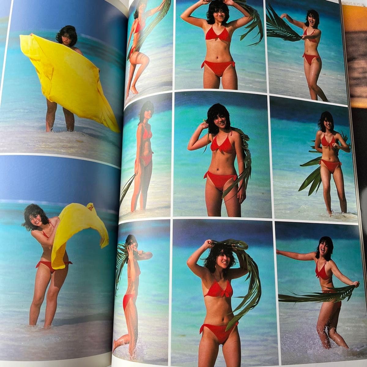 Amazon.co.jp: 菊池桃子写真集 桃子白書 : ホーム＆キッチン