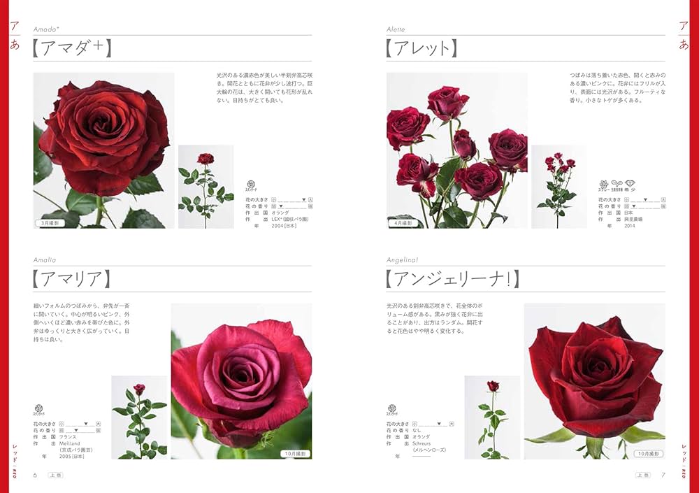 Amazon.co.jp: 切り花 バラ図鑑1000 上巻 : 飯山 重, フローリスト編集