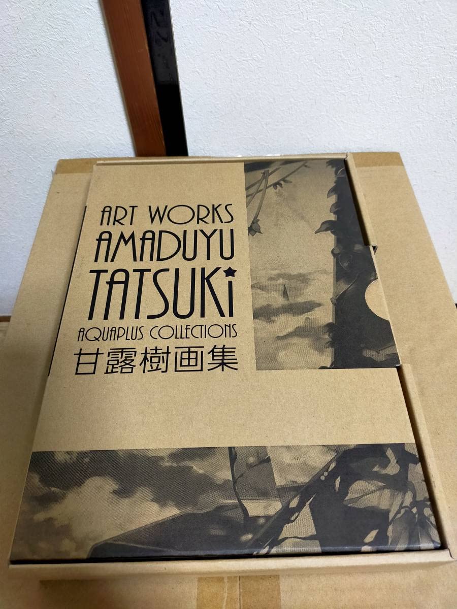 Amazon.co.jp: AMADUYU TATSUKI ART WORKS 甘露樹 画集 限定版 アクア