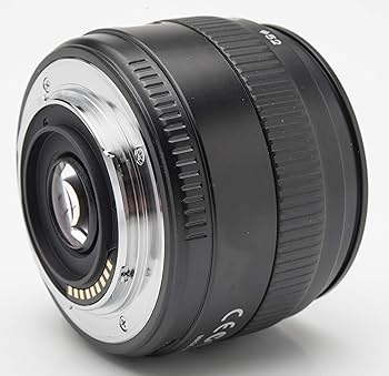 Amazon.co.jp: OLYMPUS マクロレンズ ZUIKO DIGITAL 35mm F3.5 Macro