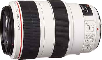 Amazon.com : Canon EF 70-300mm f/4-5.6L is USM UD Telephoto Zoom