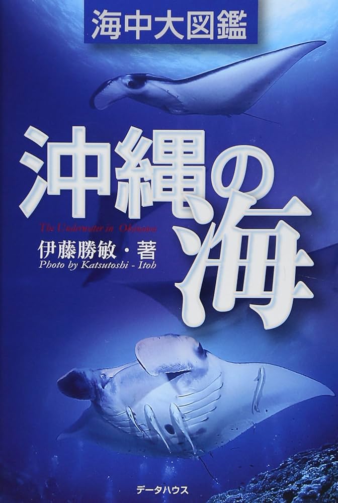 沖縄の海 海中大図鑑 | 伊藤勝敏 |本 | 通販 | Amazon