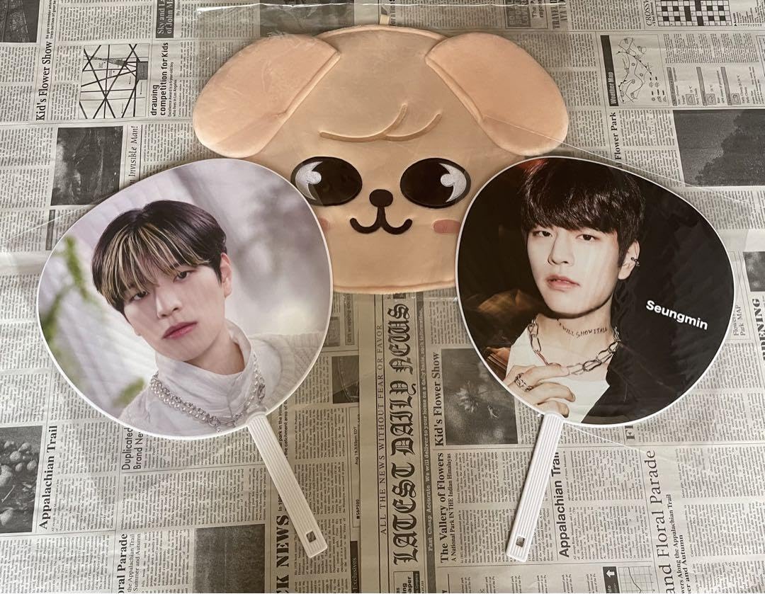 Amazon.co.jp: スンミン うちわ うちわケース スキズ straykids