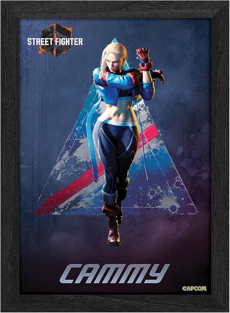 Amazon.com: Level Up Labs Pixel Frames PLAX: Street Fighter 6