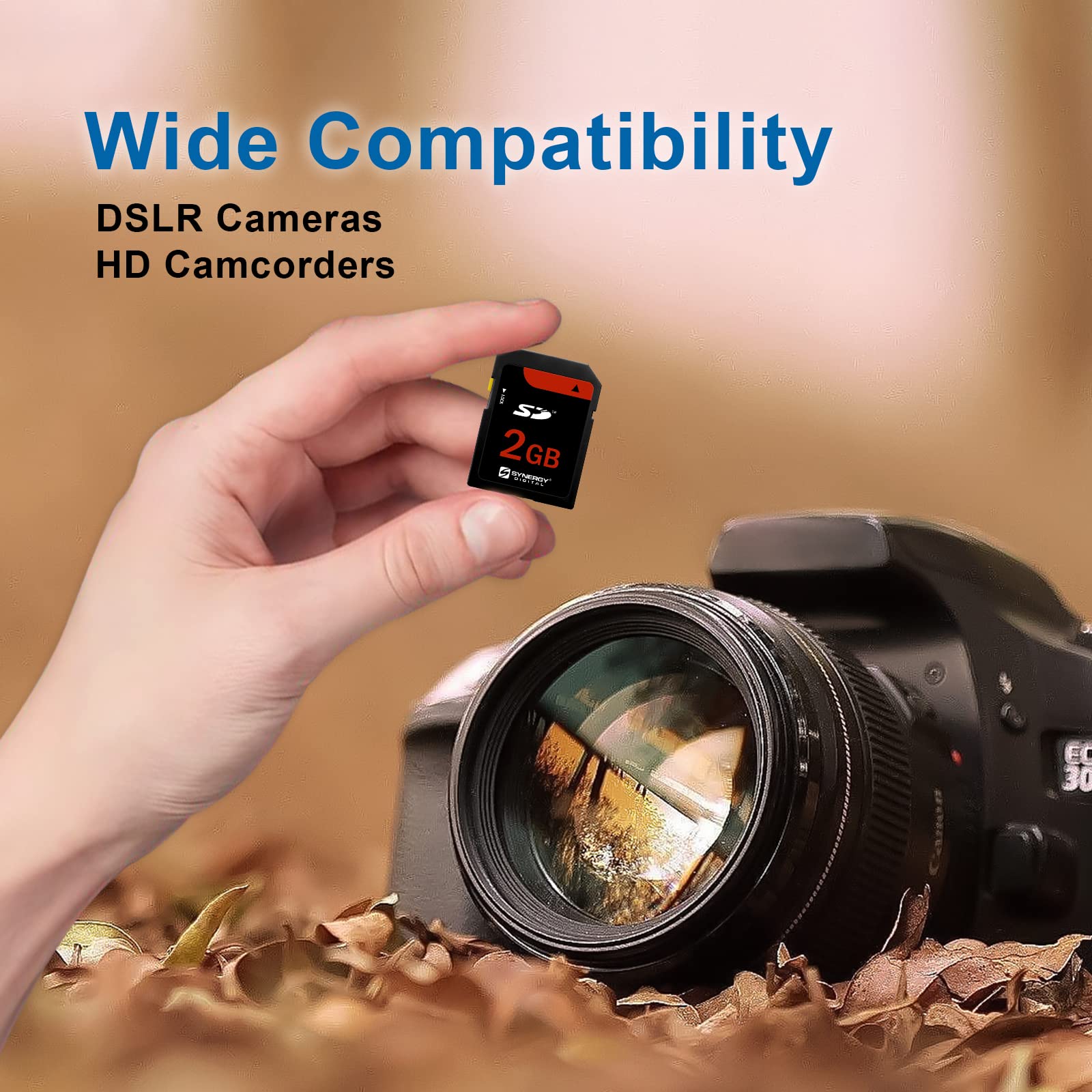 Amazon.com: Nikon D3100 Digital Camera Memory Card 2GB Standard