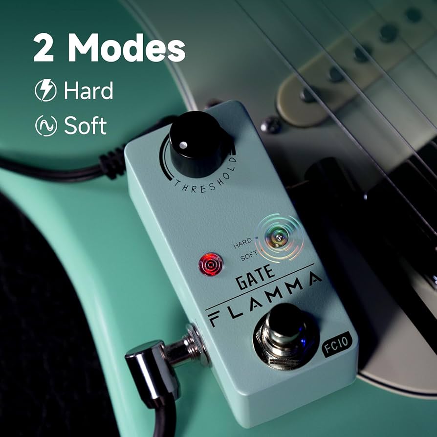 Amazon.com: FLAMMA Noise Gate Pedal FC10 Noise Killer Guitar Pedal