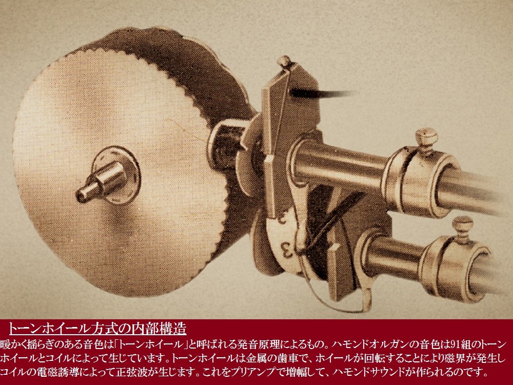 Amazon.co.jp: HAMMOND ハモンド HAMMOND XK-1c 61鍵 7.5㎏ : 楽器