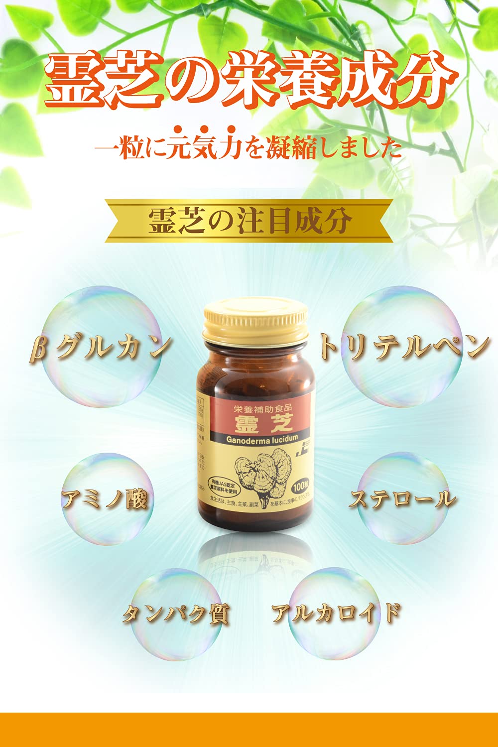 Amazon | 日本ケミスト 霊芝（れいし）リニューアル版 100粒 原材料93