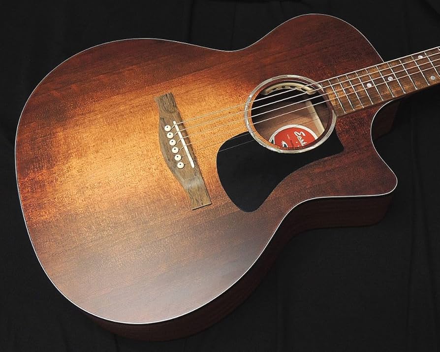 Amazon | イーストマン PCH1-GACE-CLA フィッシュマンピックアップ搭載