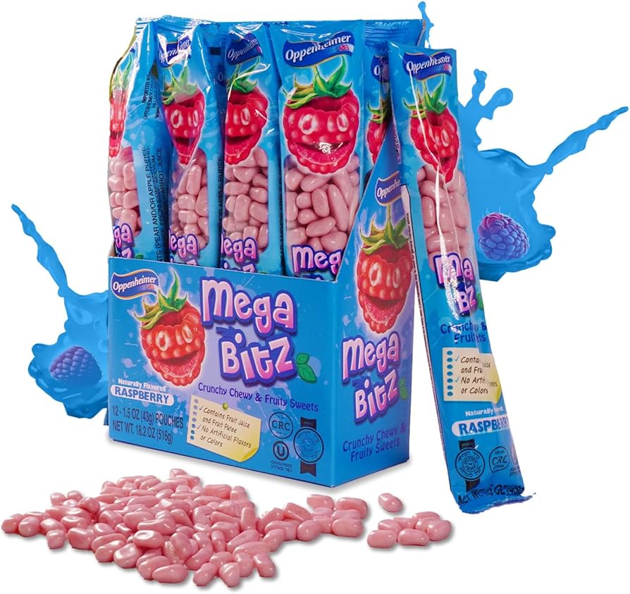 Amazon.com: Mega Bitz Fruit Nuggets Blue Raspberry Candy Bulk Pack