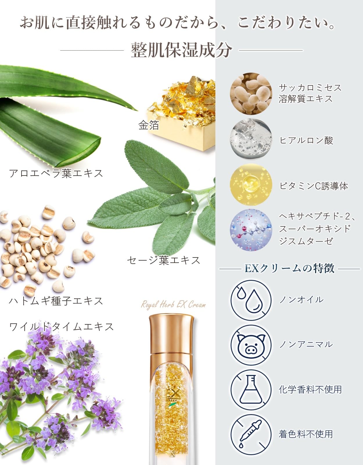Amazon.co.jp: Royal Cosmetics Royal Herb EX Cream, 1.8 oz (50 g