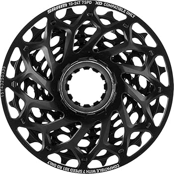 Amazon.com : SRAM XG-795 DH Cassette 7-Speed 10-24T with