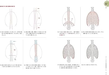 Amazon.com: ソッカの美術解剖学ノート: 9784274507151: ソク