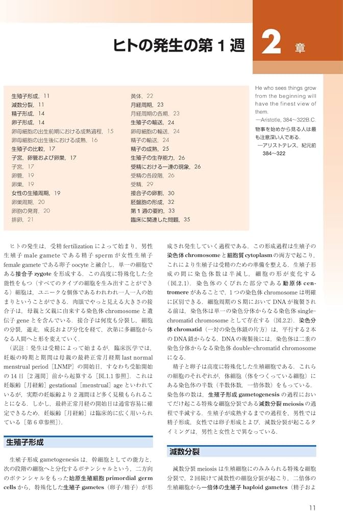 ムーア人体発生学 原著第11版 | K.L.Moore, 大谷 浩, 小川 典子, 松本