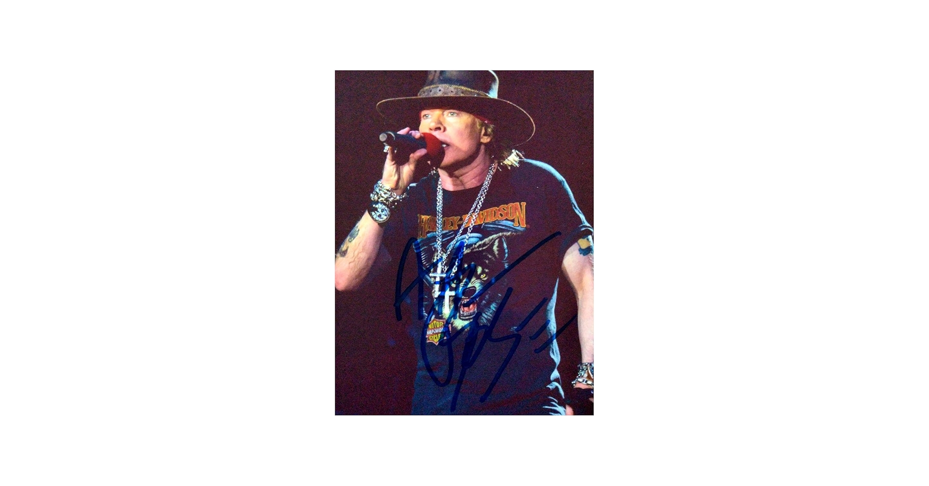 Amazon.co.jp: アクセルローズ直筆サイン入り2Lサイズ写真…ガンズ