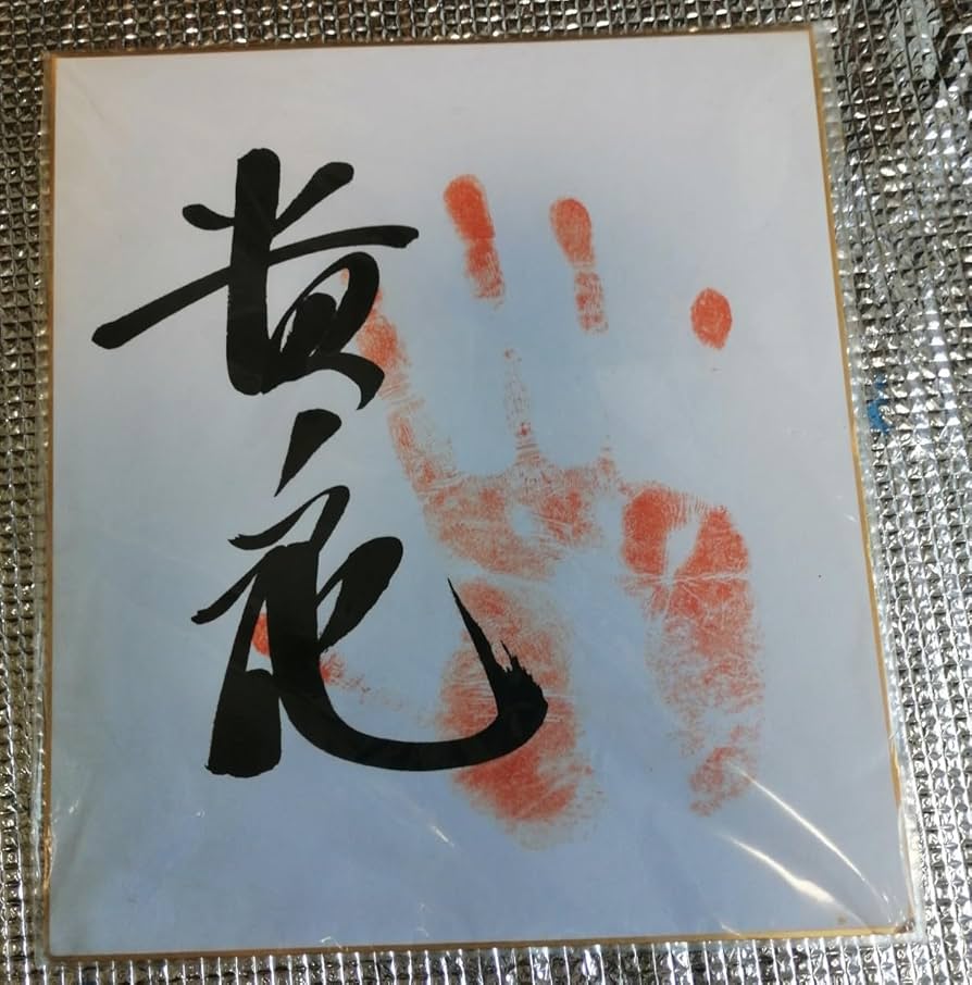 Amazon.co.jp: 貴乃花 サイン色紙 手形 大相撲 元横綱 : 文房具