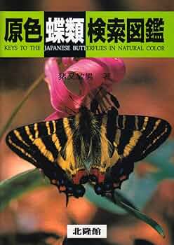 718gzOI6ErL._AC_UF350,