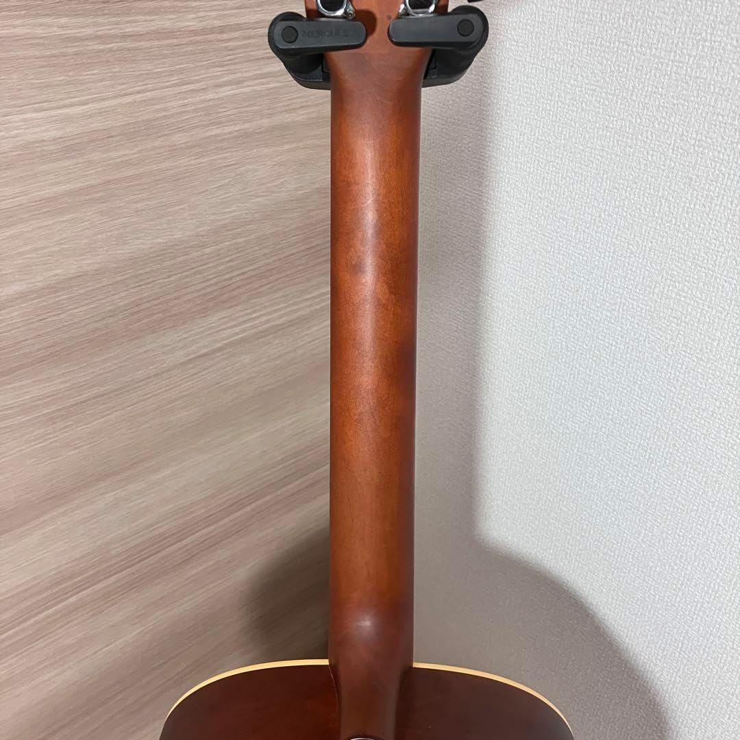 ケース付アートルシアー Dreadnought CEDARArt&Lutherie【ハードケース