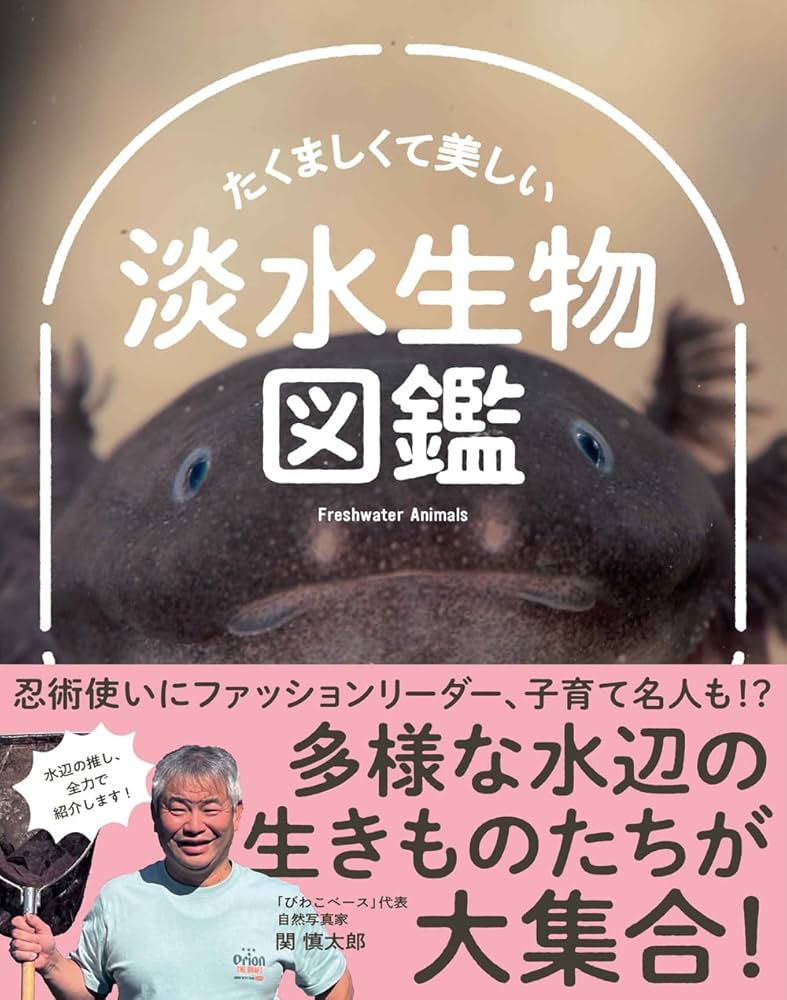 たくましくて美しい 淡水生物図鑑 | 関慎太郎 |本 | 通販 | Amazon