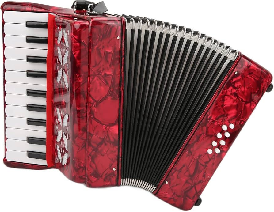 Amazon | アコーディオン、ABS 初心者向けの 8 ベース