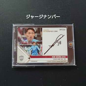 718vC0-xHpL._AC_UF350,