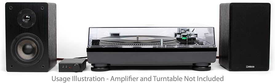 Amazon.co.jp: 【アメリカデザイン 特許取得済】 Micca MB42 アンプ非