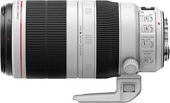 Amazon.com : Canon EF 100-400mm f/4.5-5.6L is II USM Lens, Lens