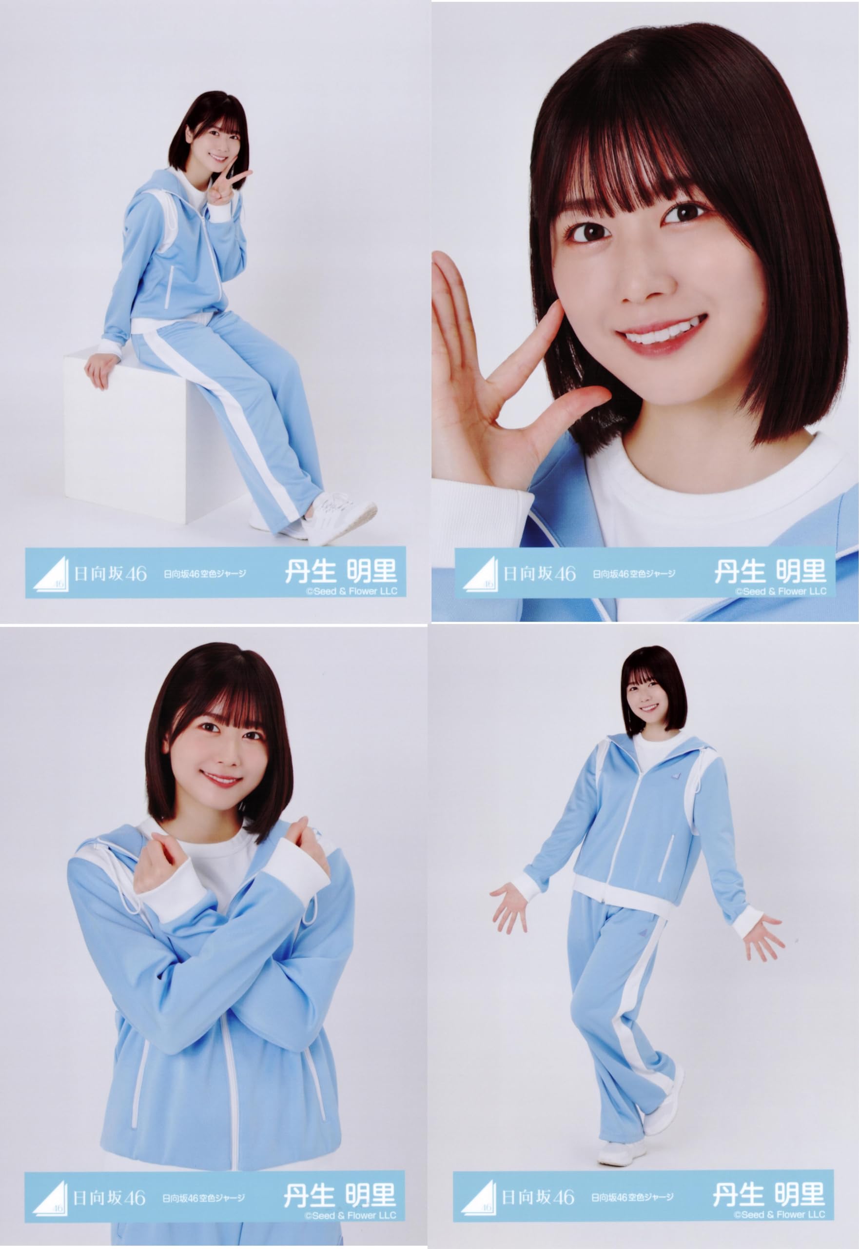 Amazon.co.jp: 日向坂46 生写真 日向坂46 空色ジャージ 4種コンプ 丹生
