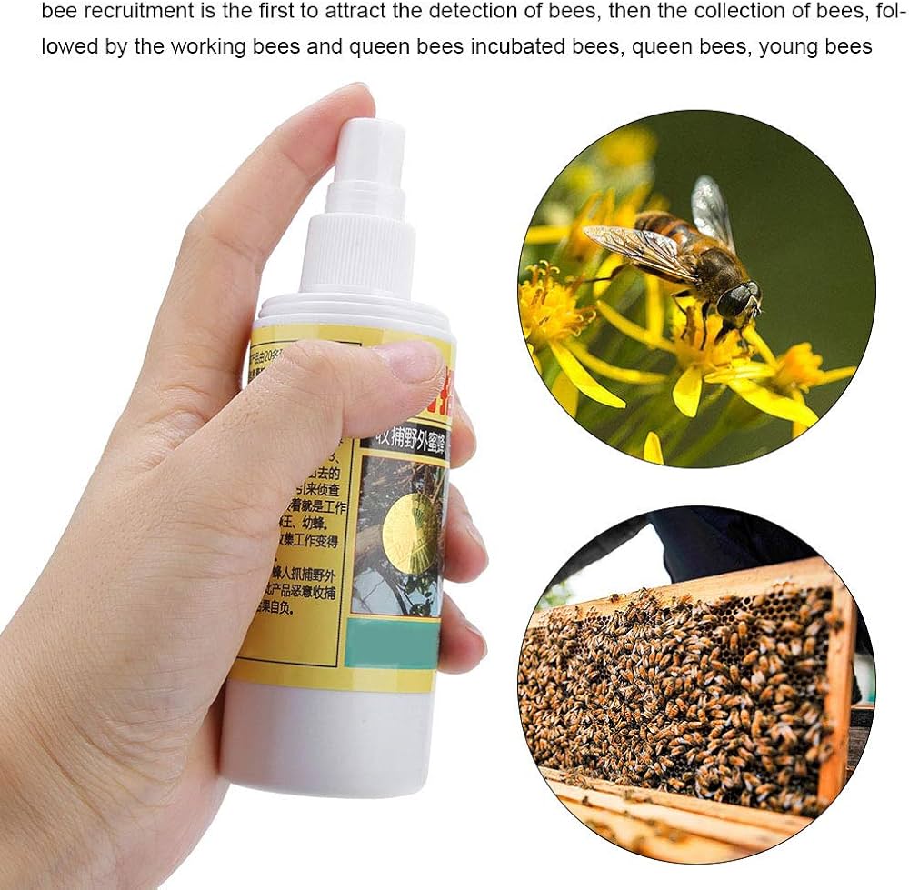 719QB934viL._AC_UF1000,