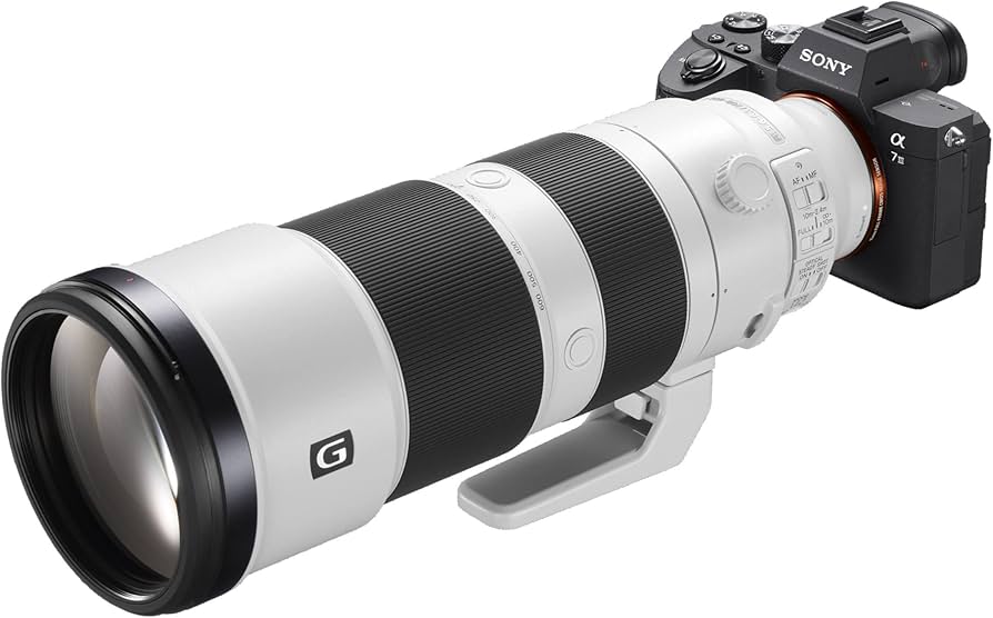 Amazon.com : Sony 200-600mm f/5.6-6.3 G OSS E-Mount Super