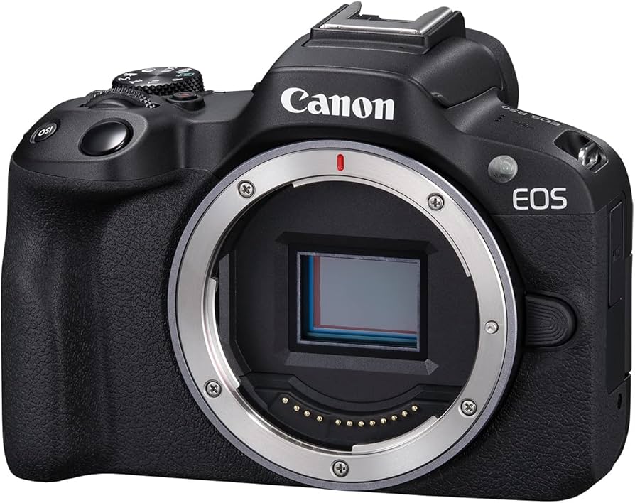 Amazon.com : Canon EOS R50 Mirrorless Vlogging Camera (Body Only