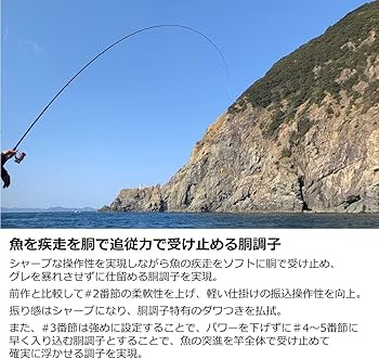 Amazon | ダイワ(DAIWA) 磯竿 メガディス Megathis AGS・N 1-53・N